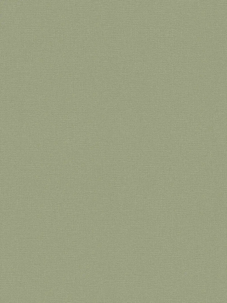Styleguide Nature 2027 Green Wallcovering | AS Creation