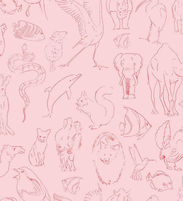 Zoology Pink, Roll Vinyl Wallcoverings | Coordonné