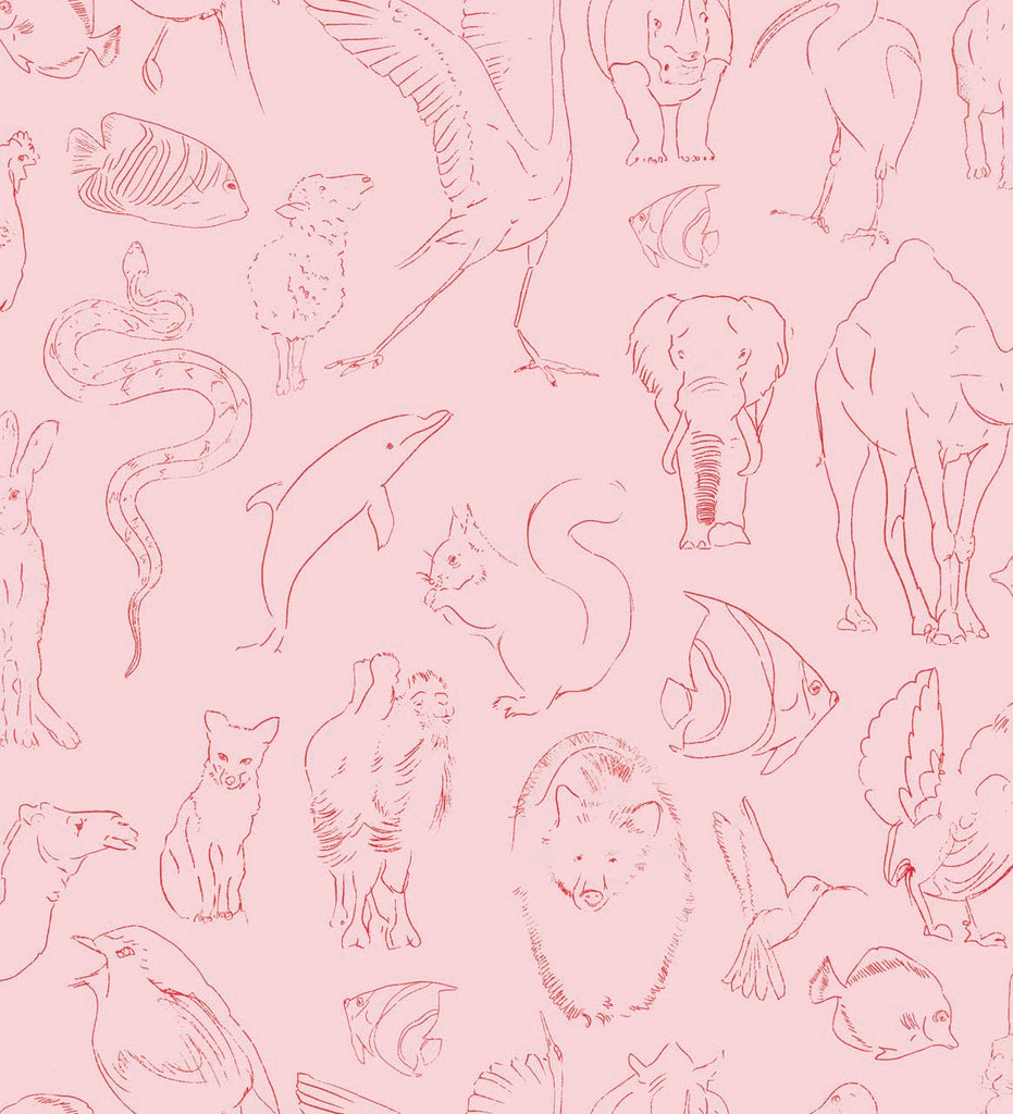 Zoology Pink, Roll Vinyl
