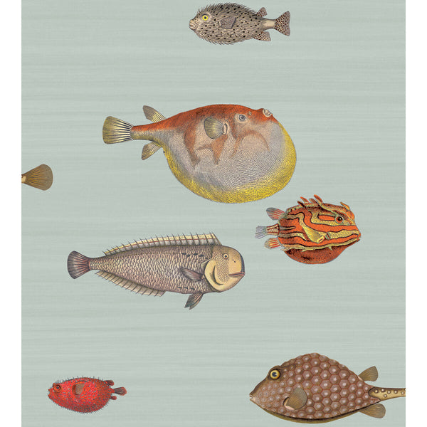 Acquario - Print Room Blue | Cole & Son