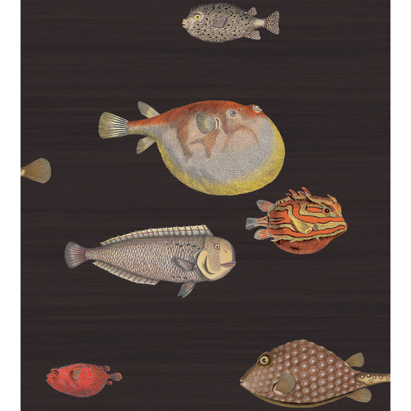 Acquario - Black & Multi | Cole & Son