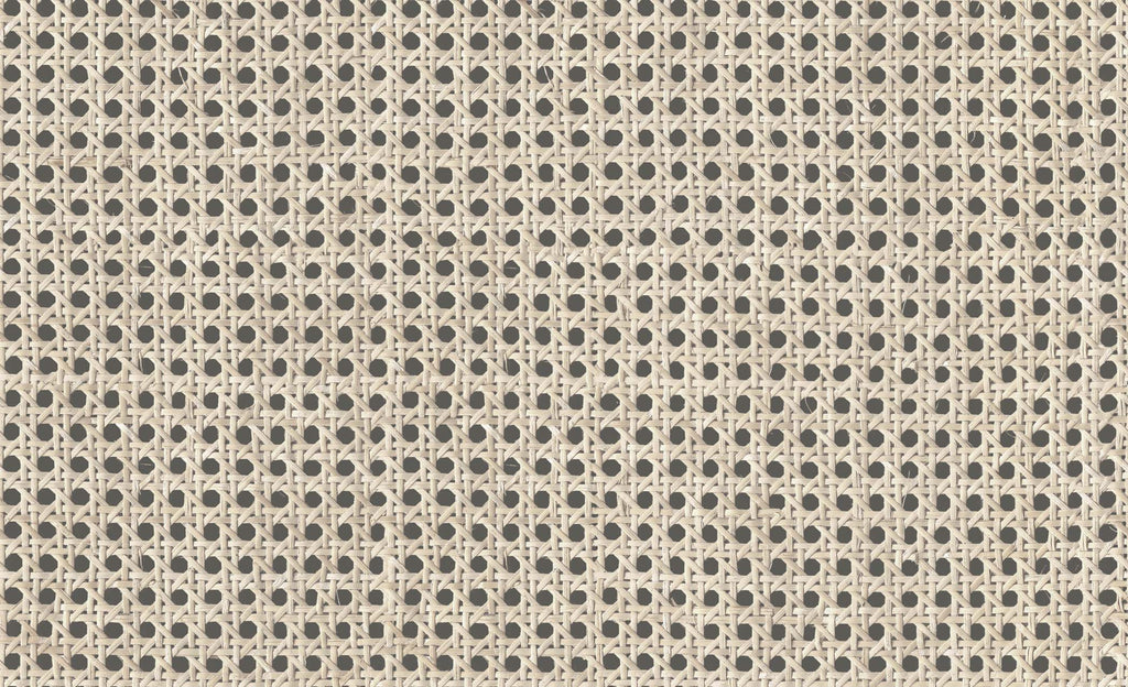 Cane 9800002, Roll