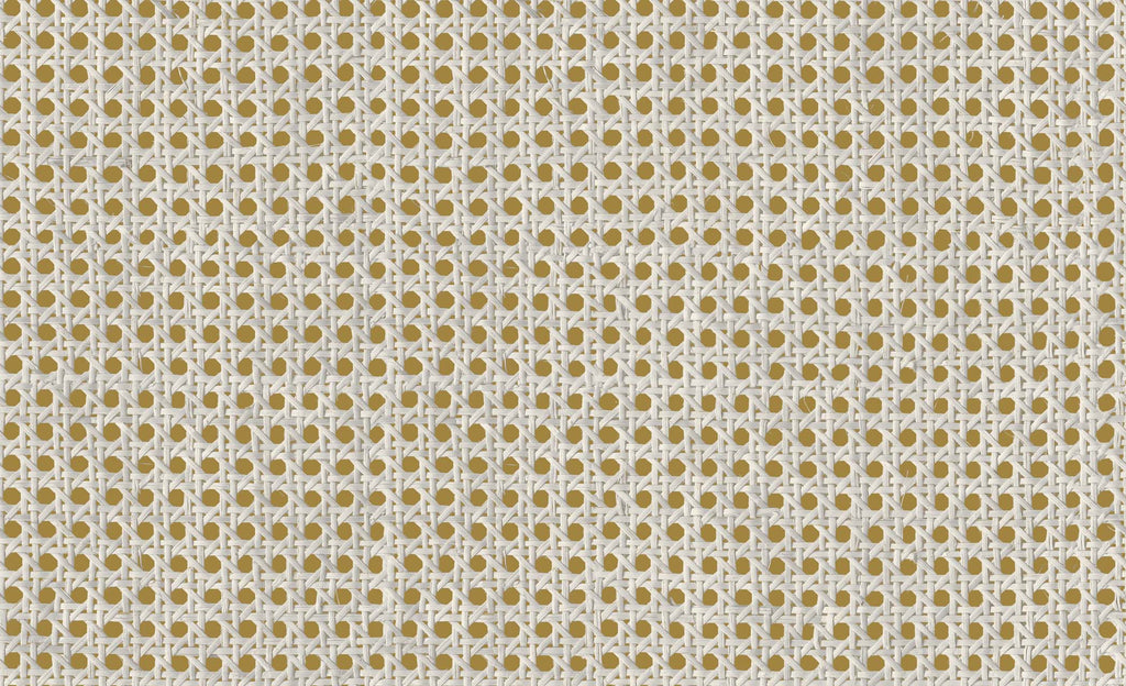 Cane 9800006, Roll