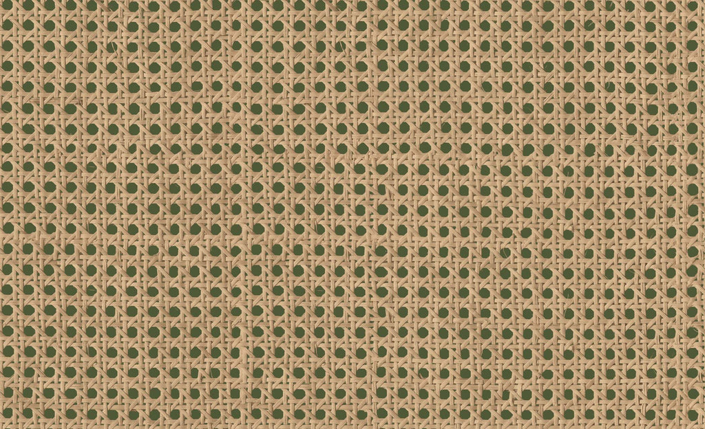 Cane 9800007, Roll