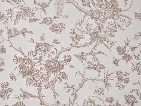 Chantonnay Glycine | Pierre Frey