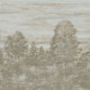 Torrey Pines, Champagne