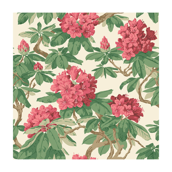 Bourlie - Carmine Ivory By Cole & Son |  |Botanical & Floral  Wallcovering Print