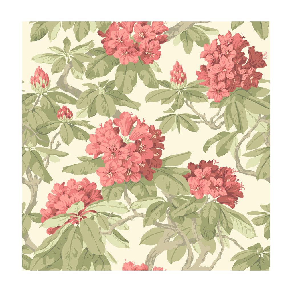 Bourlie - Coral Beige By Cole & Son |  |Botanical & Floral  Wallcovering Print