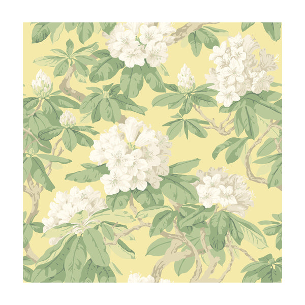 Bourlie - Pale Lemon Light Yellow By Cole & Son |  |Botanical & Floral  Wallcovering Print