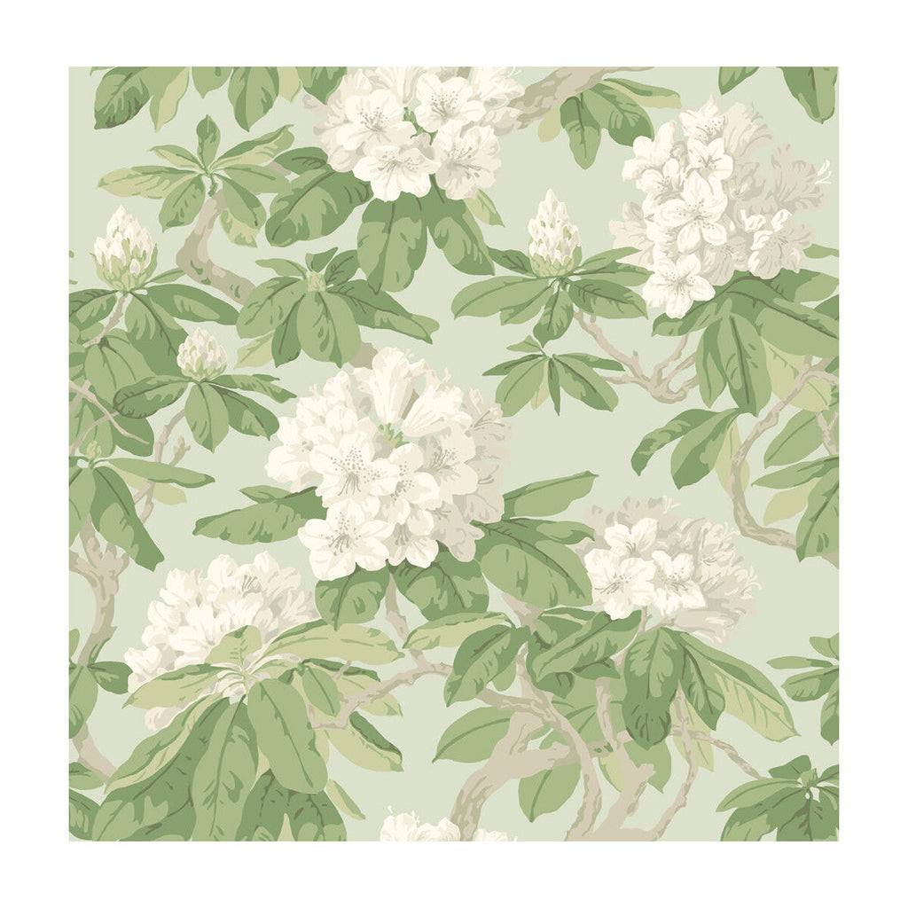 Bourlie - Duck Egg Mint By Cole & Son |  |Botanical & Floral  Wallcovering Print