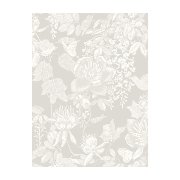 Tivoli - Grey Light Grey By Cole & Son |  |Animal/Insects Botanical & Floral Wallcovering Print