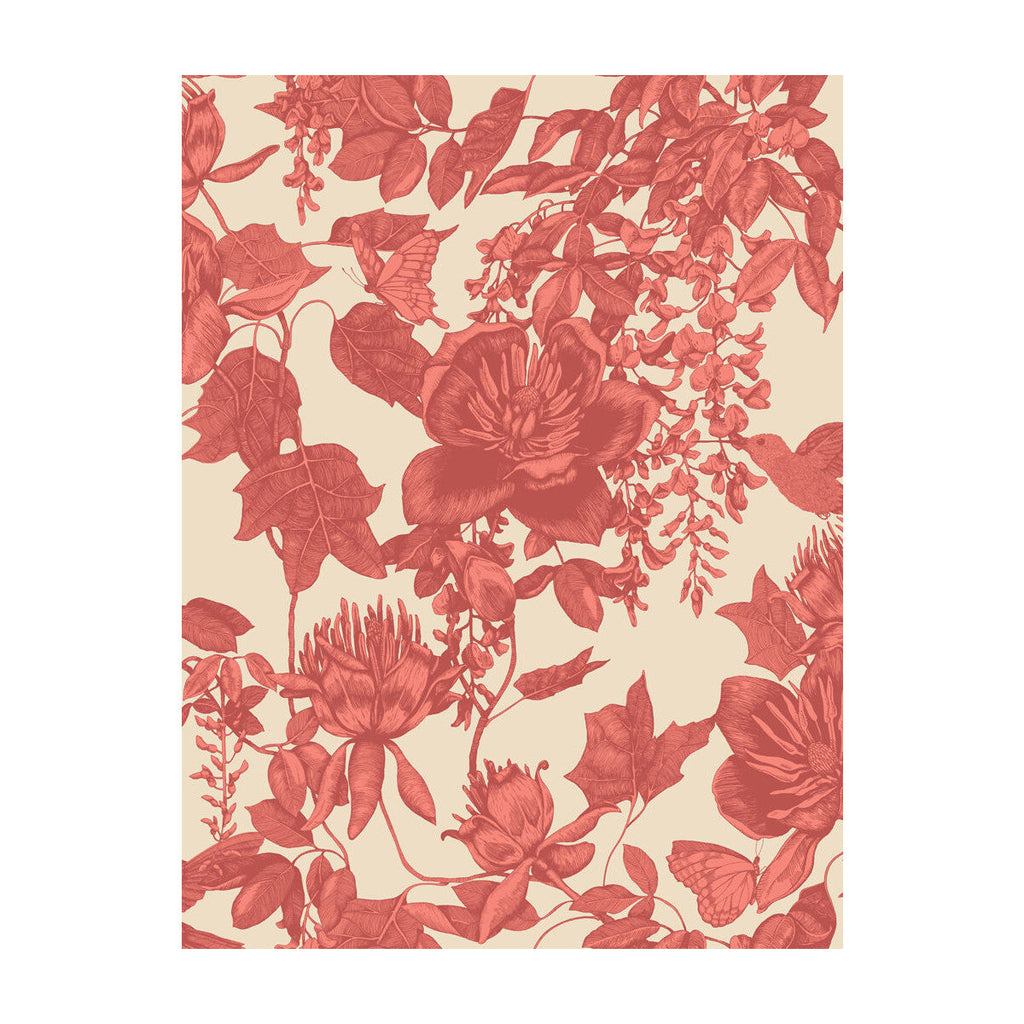Tivoli - Coral Coral By Cole & Son |  |Animal/Insects Botanical & Floral Wallcovering Print