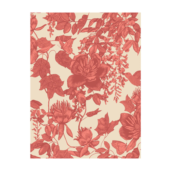 Tivoli - Coral Coral By Cole & Son |  |Animal/Insects Botanical & Floral Wallcovering Print