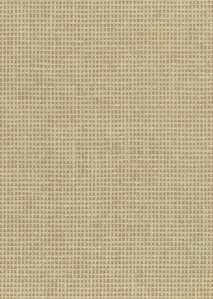 Darien-Shortbread Paper Weave Wallcovering | Phillipe Romano — PWV-500200