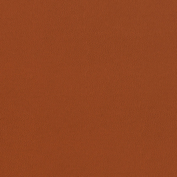 Carnegie Siltech Grain - Color 16