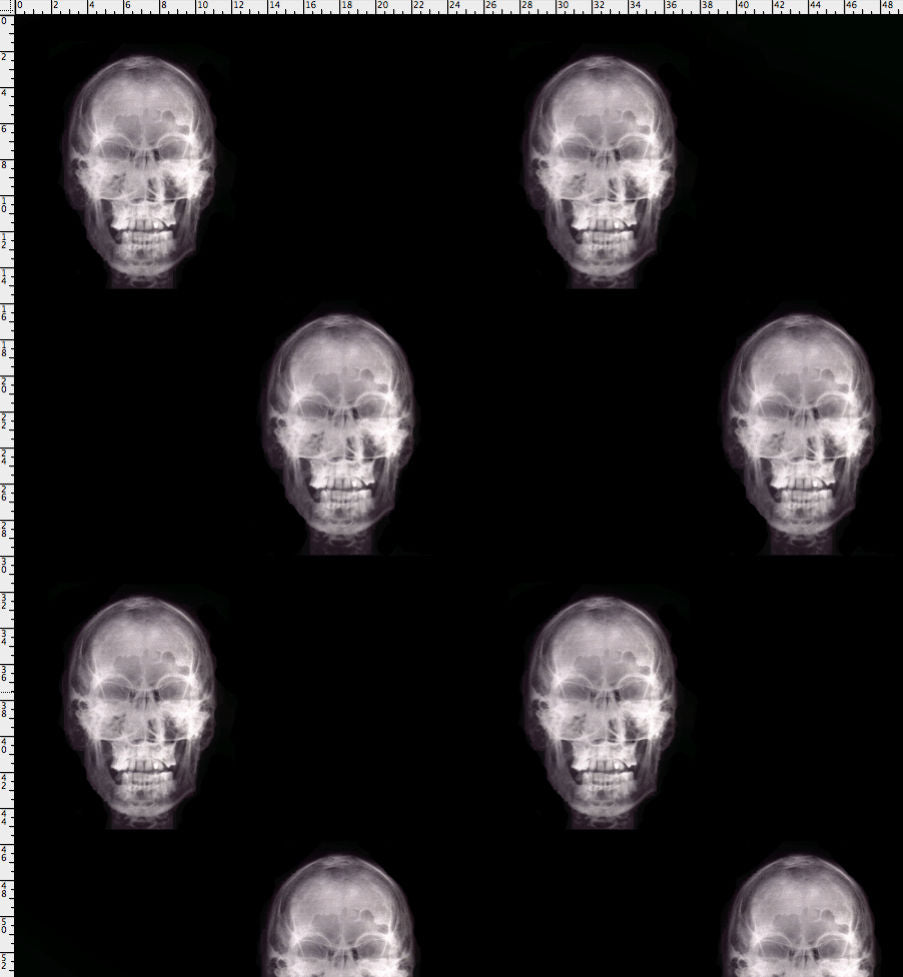 Xanadu Xray Skulls - Real Xray - Strong Xray Pattern - Pattern D Wallcovering | DW Bespoke Studios