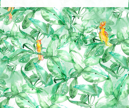 Parrots in the Tropics Mural | Coordone Europe
