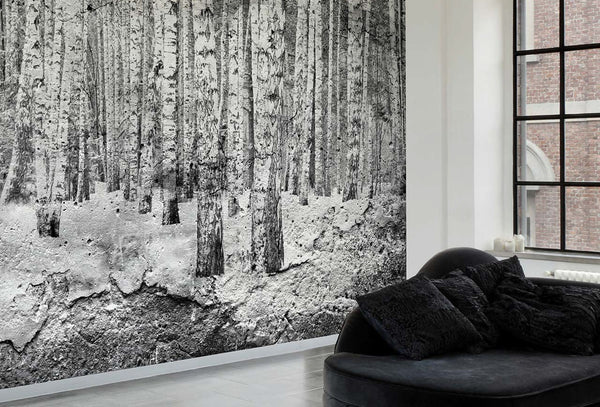 Arego Aspen Trees | Coordone Europe