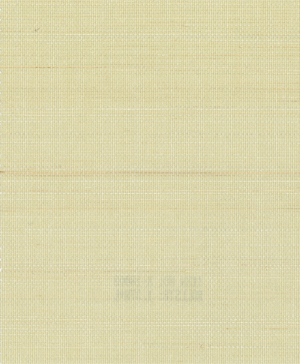 Tellaro Champagne II | Fentucci Naturals