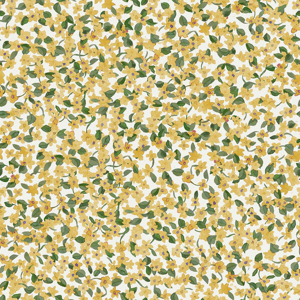 Ana Cúrcuma, Cúrcuma Wallcoverings | Coordonné