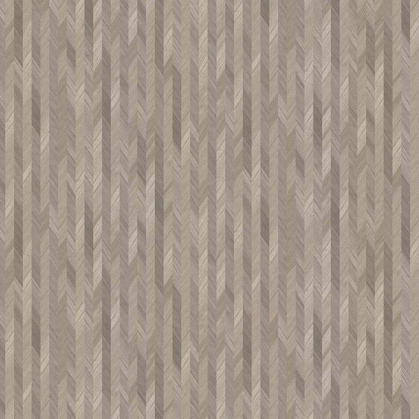 Wheat Spike | Coordone Europe