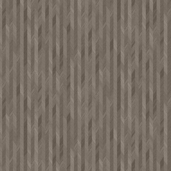 Wheat Spike | Coordone Europe