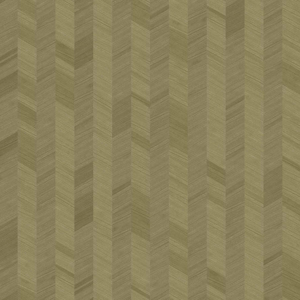 X1 Wheat Spike | Coordone Europe