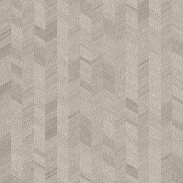 X1 Wheat Spike | Coordone Europe