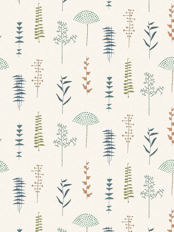 Herbario Cisne | Coordone Europe