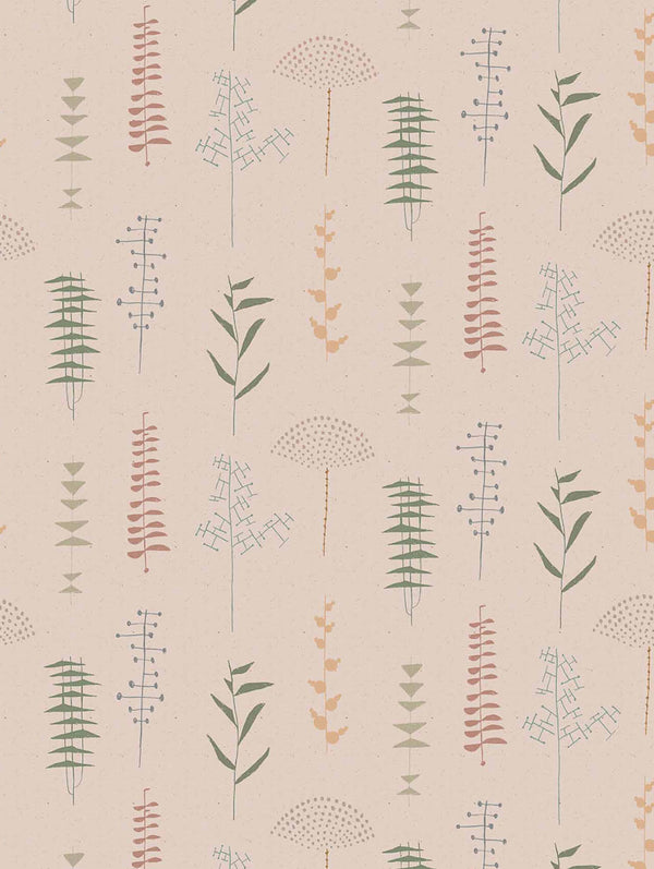 Herbario Rosa | Coordone Europe