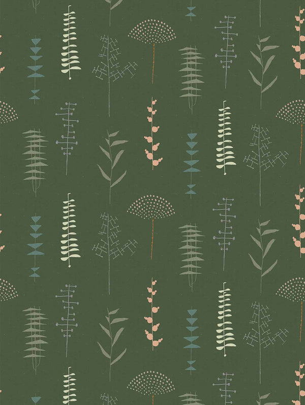Herbario Parra | Coordone Europe