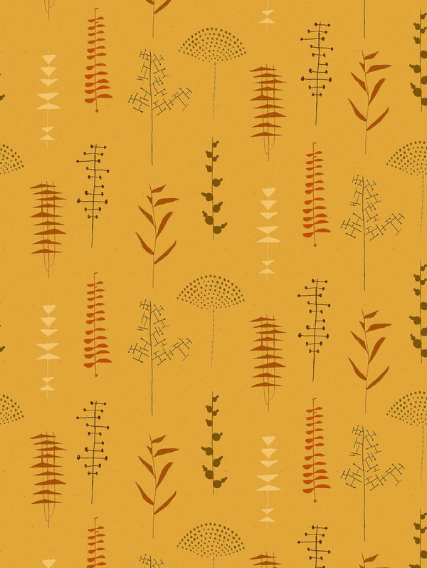 Herbario Curry | Coordone Europe
