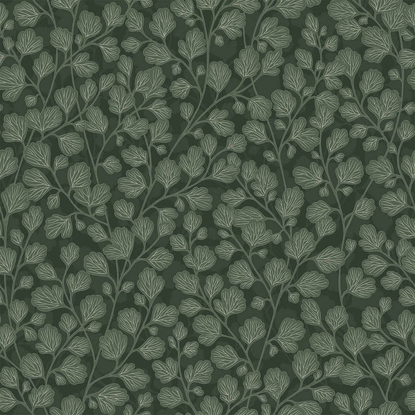 Robledal Parra | Coordone Europe