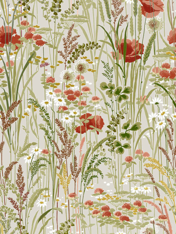 Pradera Cisne | Coordone Europe