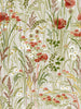 Pradera Cisne, Cisne