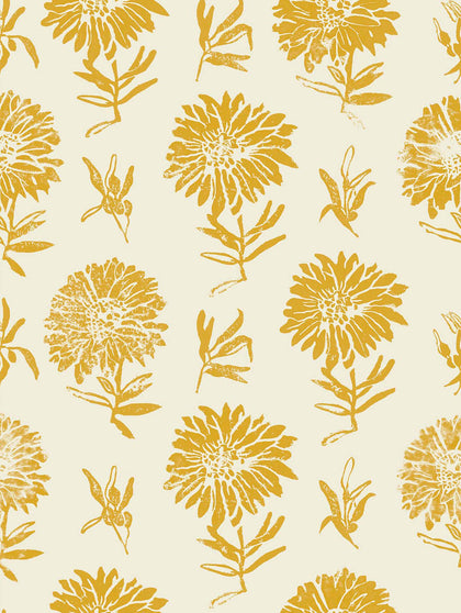 Parterre Curry | Coordone Europe