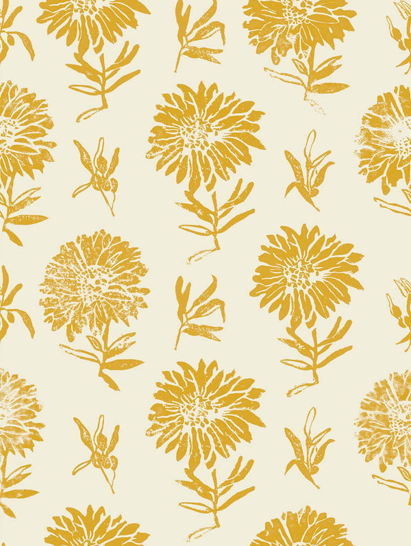 Parterre Curry | Coordone Europe