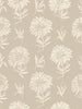 Parterre Cisne, Cisne