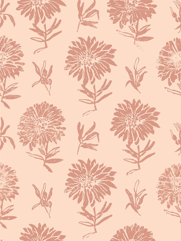 Parterre Rosa | Coordone Europe