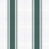 Stripe 5 Parra, Parra