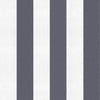 Stripe 8 Galaxia, Galaxia