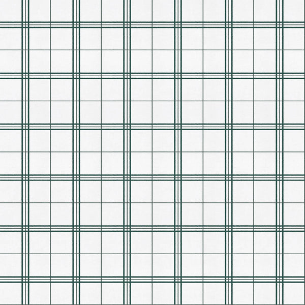 Samples and Purchasing available for Gravel Path - Flax Beige By Kravet Design | Performance Trim Indoor/Outdoor |  Trim Indoor / Outdoor at Designer Wallcoverings and Fabrics