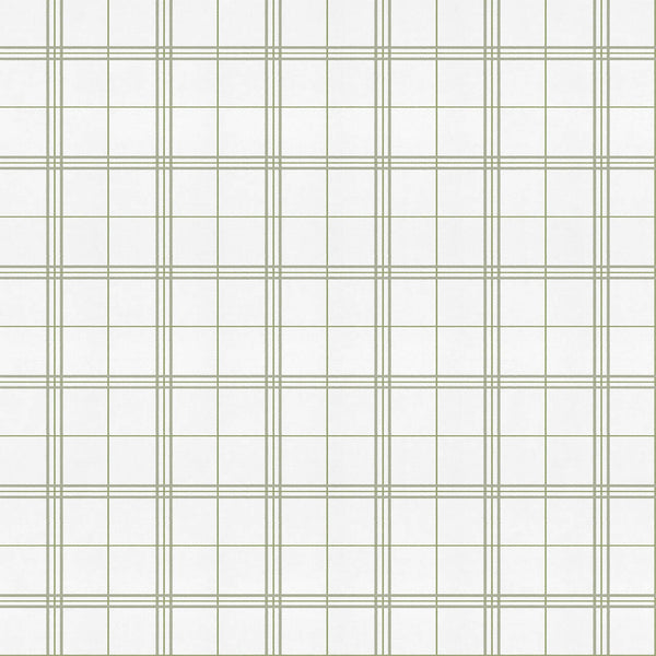 Samples and Purchasing available for Gravel Path - Flax Beige By Kravet Design | Performance Trim Indoor/Outdoor |  Trim Indoor / Outdoor at Designer Wallcoverings and Fabrics