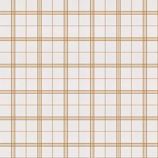 Samples and Purchasing available for Gravel Path - Flax Beige By Kravet Design | Performance Trim Indoor/Outdoor |  Trim Indoor / Outdoor at Designer Wallcoverings and Fabrics