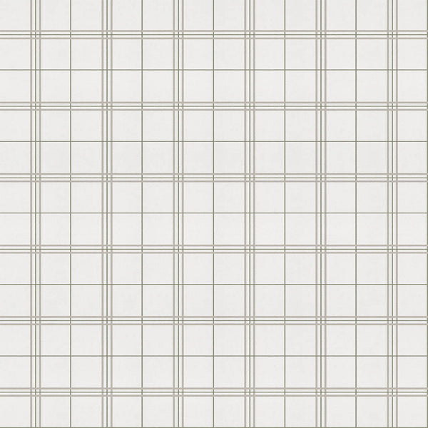 Samples and Purchasing available for Gravel Path - Flax Beige By Kravet Design | Performance Trim Indoor/Outdoor |  Trim Indoor / Outdoor at Designer Wallcoverings and Fabrics