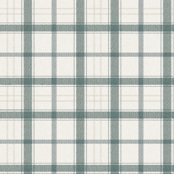 Samples and Purchasing available for Gravel Path - Flax Beige By Kravet Design | Performance Trim Indoor/Outdoor |  Trim Indoor / Outdoor at Designer Wallcoverings and Fabrics