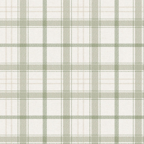 Samples and Purchasing available for Gravel Path - Flax Beige By Kravet Design | Performance Trim Indoor/Outdoor |  Trim Indoor / Outdoor at Designer Wallcoverings and Fabrics