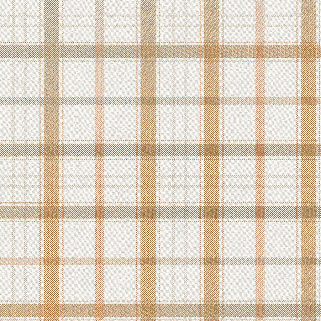 Samples and Purchasing available for Gravel Path - Flax Beige By Kravet Design | Performance Trim Indoor/Outdoor |  Trim Indoor / Outdoor at Designer Wallcoverings and Fabrics