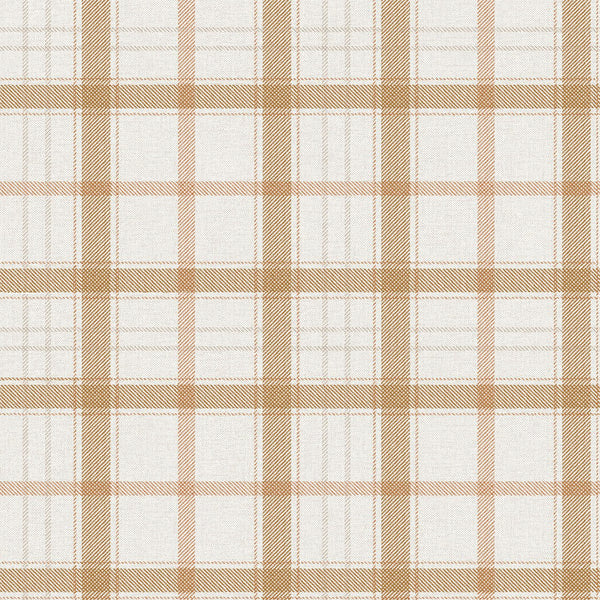 Samples and Purchasing available for Gravel Path - Flax Beige By Kravet Design | Performance Trim Indoor/Outdoor |  Trim Indoor / Outdoor at Designer Wallcoverings and Fabrics