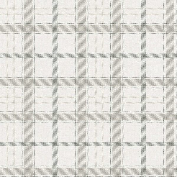 Samples and Purchasing available for Gravel Path - Flax Beige By Kravet Design | Performance Trim Indoor/Outdoor |  Trim Indoor / Outdoor at Designer Wallcoverings and Fabrics